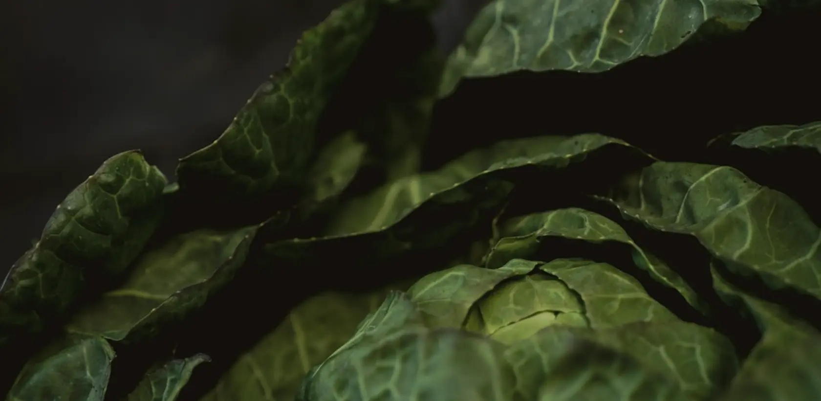 Fresh leafy greens